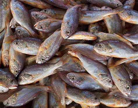 Small Edible Fish For Sale — Stock Photo © shiyali #6956212