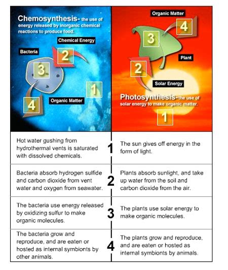 NOAA Ocean Explorer: Education - Multimedia Discovery Missions | Lesson ...