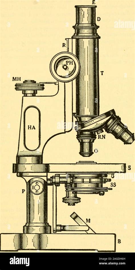 Reflected light microscope hi-res stock photography and images - Alamy