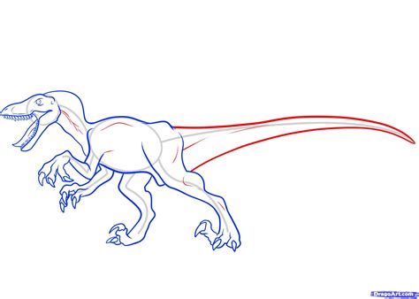 how to draw a velociraptor, velociraptor step 7 Drawing Poses, Drawing ...