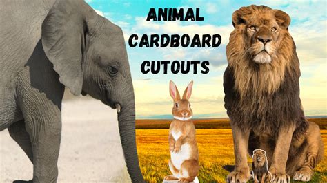 Animal Party Decorations for Children and Adults. – mycardboardcutout