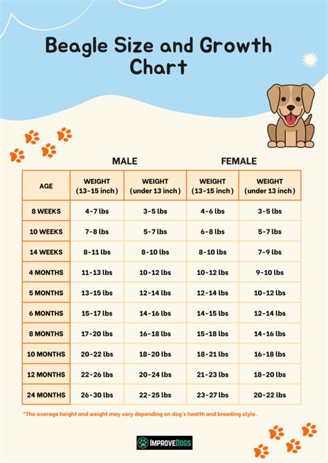 Beagle Growth Chart - Find Out Your Beagle's Size and Weight By Age ...