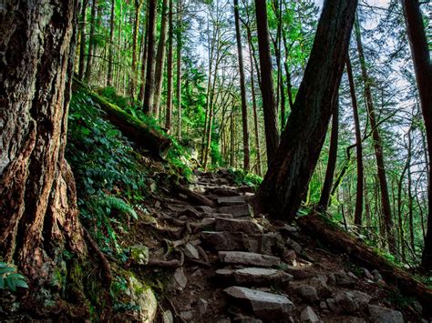 12 essential day hikes near Seattle - Curbed Seattle