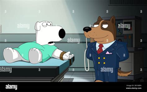 FAMILY GUY, from left: Brian Griffin (voice: Seth MacFarlane), George ...