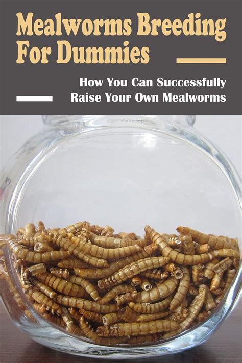 Mealworms Breeding For Dummies: How You Can Successfully Raise Your Own ...