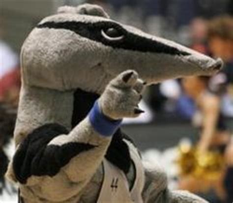 The Anteater (UCI Mascot) on Pinterest | Peter O'toole, Volleyball ...