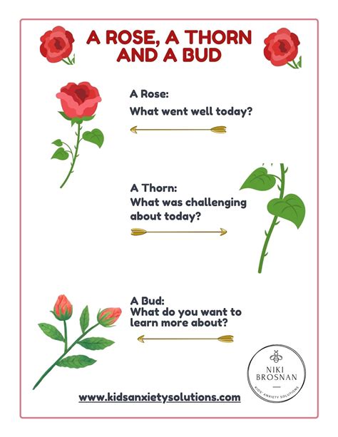 A Mindful Way to Reflect: A Rose, A Thorn and A Bud - Etsy