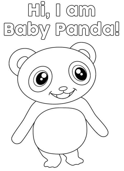 Baby Panda Little Baby Bum