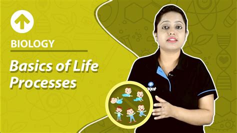 Basics of Life Processes | Biology - YouTube