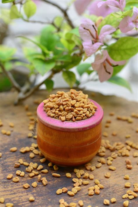 6 Side Effects Of Fenugreek For Hair, Skin & Health - Wildturmeric