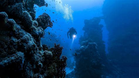 Deepest Oceans And Seas - WorldAtlas