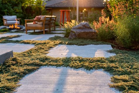 11 Grass Alternative Ideas for Your Backyard Lawn | EDI