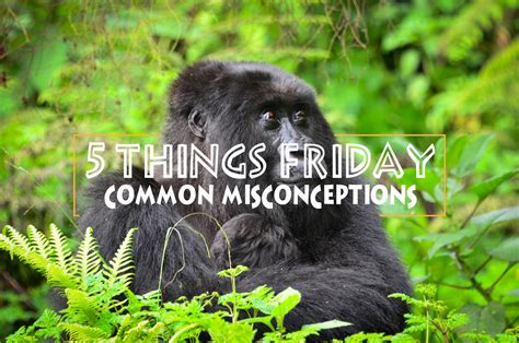 Common Misconceptions - Dian Fossey Gorilla Fund