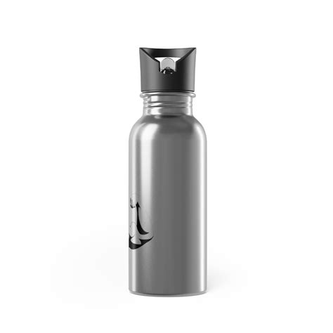 Stainless Steel Water Bottle With Straw, 20oz – Vault Fitness