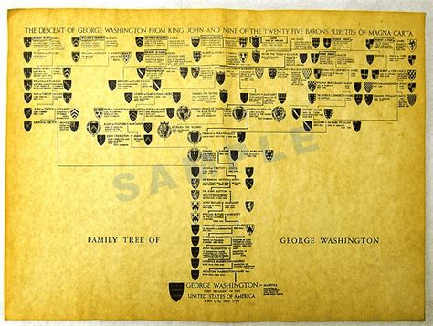 Family Tree Of George Washington | Family Tree