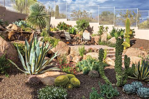 10 Best Desert Landscaping Ideas To Try