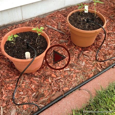 How To Install A DIY Drip Irrigation System For Potted Plants | Drip ...