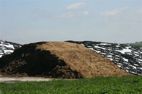 Careful silage management can significantly reduce costly losses - | Ag ...