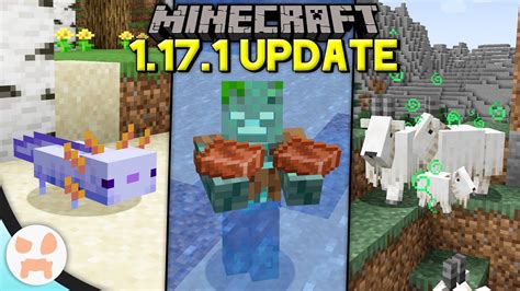 Everything Changed in the Minecraft 1.17.1 Update! - YouTube