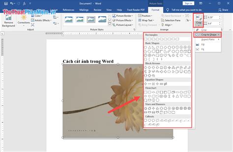 Cách cắt ảnh trong Word