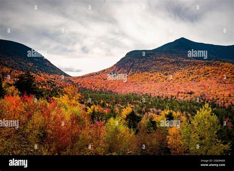 The white mountains fall colors Stock Photo - Alamy