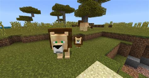 Lions Add-on (1.8 Only) | Minecraft PE Mods & Addons