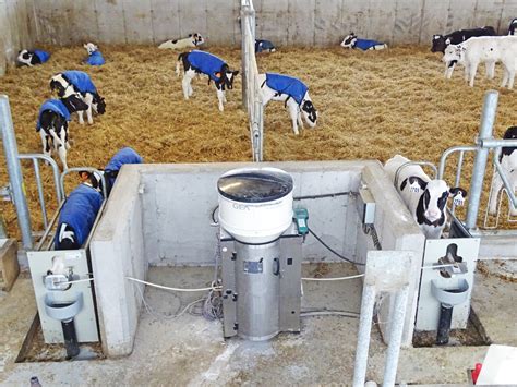 GEA Automatic Calf Feeder - Dairy Lane Systems - Calf Barn