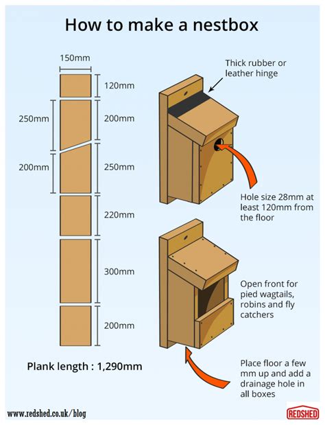 How to build a bird nestbox - RedShed | Homemade bird houses, Bird ...