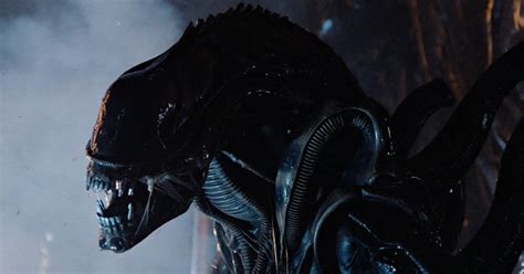 Xenomorph Types: List Of All Alien Castes And Variants | AvP Central