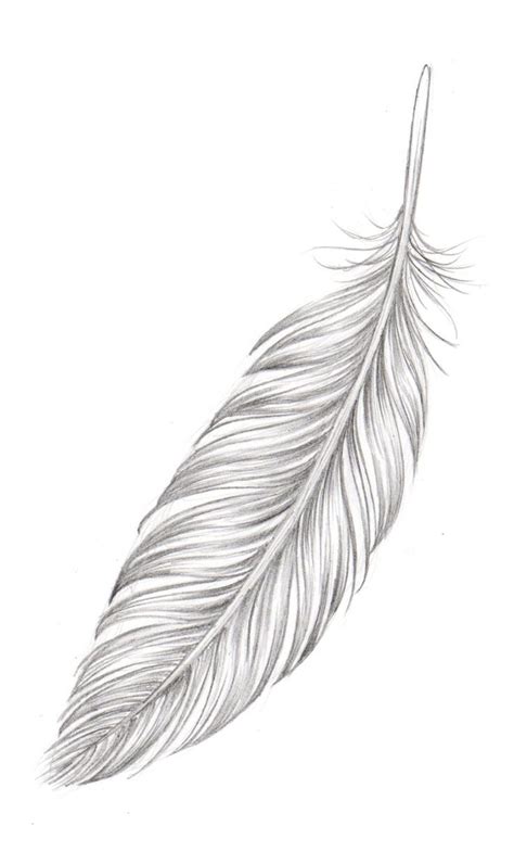 Feather. #feather | Feather tattoo design, Feather drawing, White ...