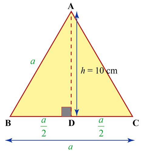 Area Of Triangle | Solved Examples | Measurement- Cuemath