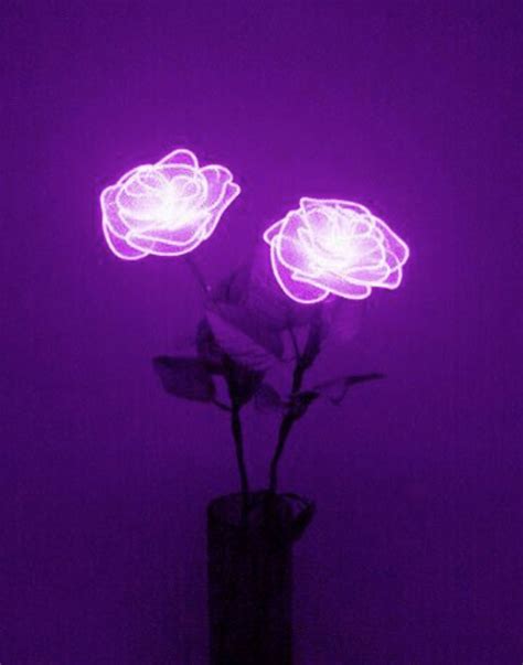 Best Of Aesthetic Wallpapers Purple Or Dark 4K