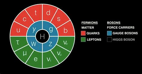 The Standard Model (of Particle Physics) Explained - Fact / Myth