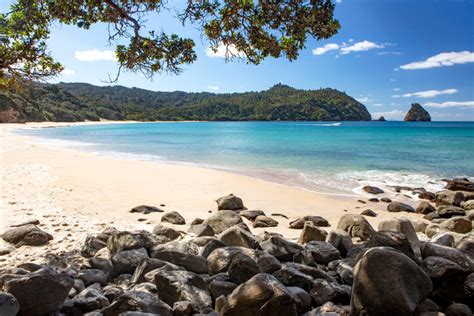 Coromandel Beaches: Best Beaches On The Coromandel Peninsula, New Zealand