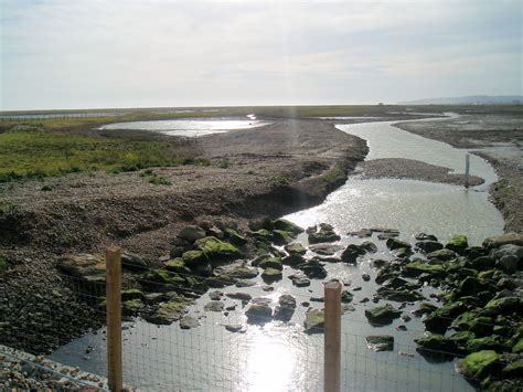 Rye Harbour Nature Reserve