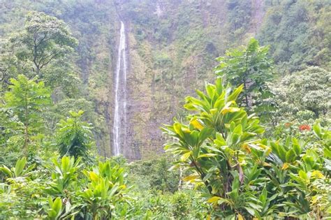 10+ Road to Hana waterfalls in Maui near Hana Highway 🌴 swimming ...