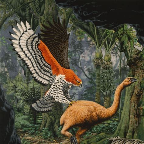 Extinct New Zealand Birds