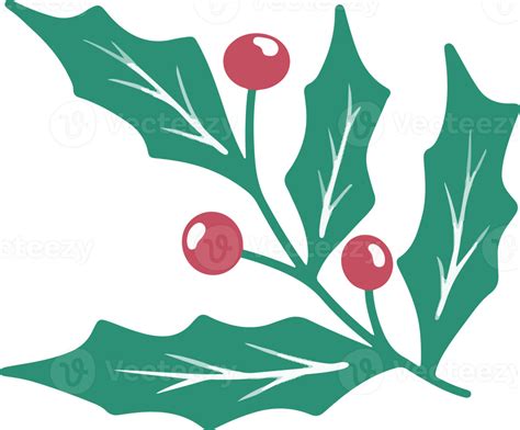 Christmas Holly leaves and berries 12500019 PNG