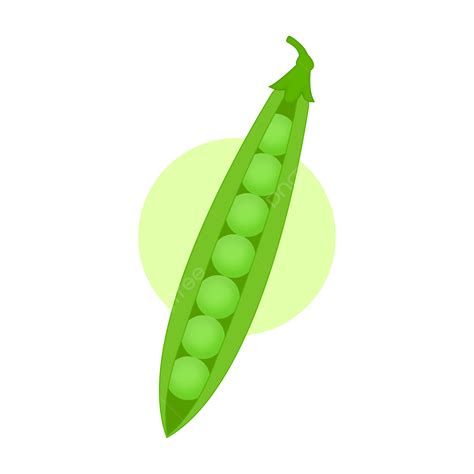 Green Peas Vector Illustration, Peas, Pea, Green Peas PNG and Vector ...