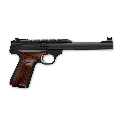 Great Rimfire Pistols for Hunting and Plinking - Shooting Times