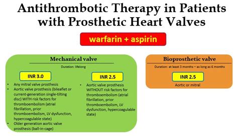 Mechanical Mitral Heart Valve