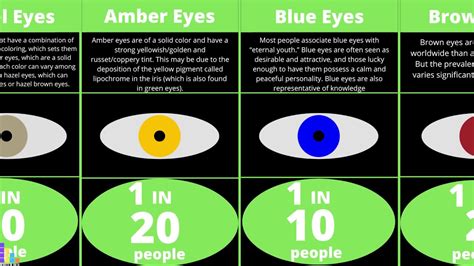 eye color gene probability chart fun facts eye color chart facts - 8 ...