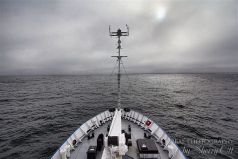 How an Arctic Expedition Cruise Works