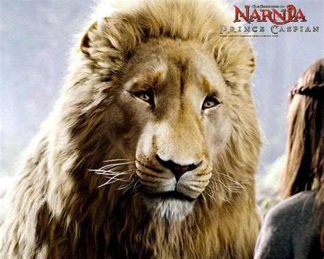 Narnia Aslan Wallpapers - Wallpaper Cave