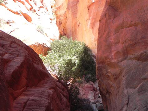 Slot Canyon Free Stock Photo - Public Domain Pictures