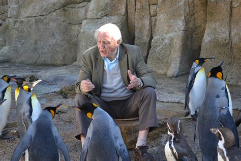 Sir David Attenborough visits Birdland - Birdland Park & Gardens