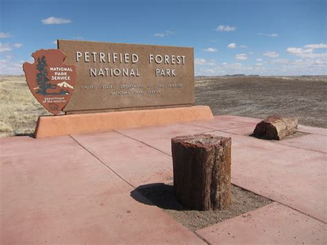 Petrified Forest & Painted Desert