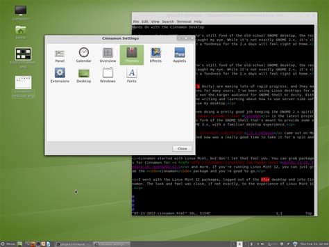 Debian Server: Hands On with the Cinnamon Desktop