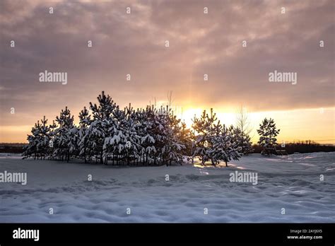 Winter in Siberia Stock Photo - Alamy