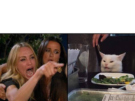 Taylor Armstrong Pointing/Yelling to a White Cat [meme examples in ...